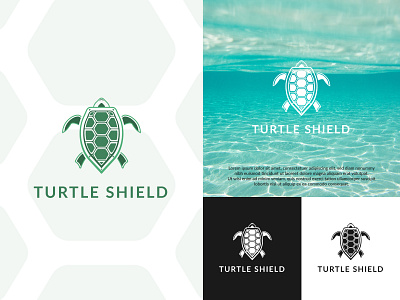 Turtle Shield abstract animals icon illustration logo minimal save sea shield shield logo simple turtle type vector