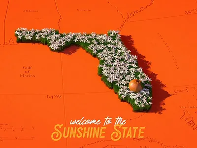 Welcome to the Sunshine State 2d 2d animation 3d after effects animation c4d cinema 4d illustration motion design motion graphics