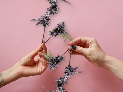 Notebook Essentials IG 1 art brand color design illustrator logo photoshop symbol texture typography