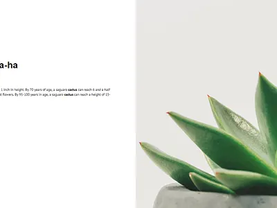 Webflow 001 : Minimalistic Design branding clean color design typography