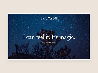 Dior Sauvage Shopping Experience - Landing Page design e commerce interface landing landing page minimal perfume ui ux web design website