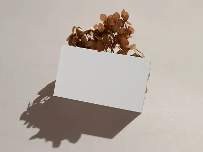 Lumea Free Stationery Mockup Set art blog business card design download floral free freebie leaves mockup paper photoshop presentation psd shadow showcase stationery template texture thedesignest