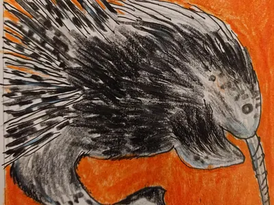 Narwhal + Porcupine daily drawing hybrid illustration narwhal porcupine