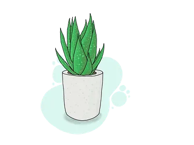 Aloe plant adobe drawing illustration illustrator nature plant vector