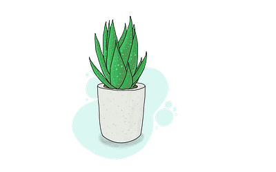 Aloe plant adobe drawing illustration illustrator nature plant vector