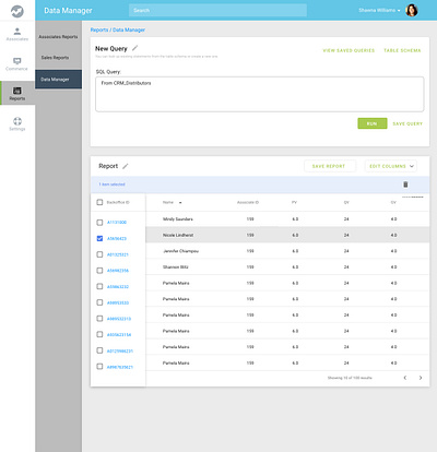 Data Manager - SQL design ui ux