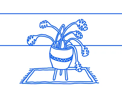 Monstera design illustration illustrator monstera motion plant