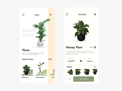 Plant App app app design dashboad design ecommerce illustration plant plants ui ui design uidesign user interface uxdesign