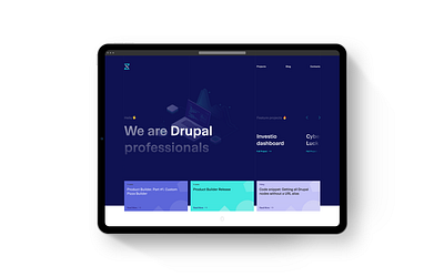 Drupal Professionals ui user interface ux