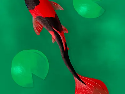 Fish graphic design illustration procreate