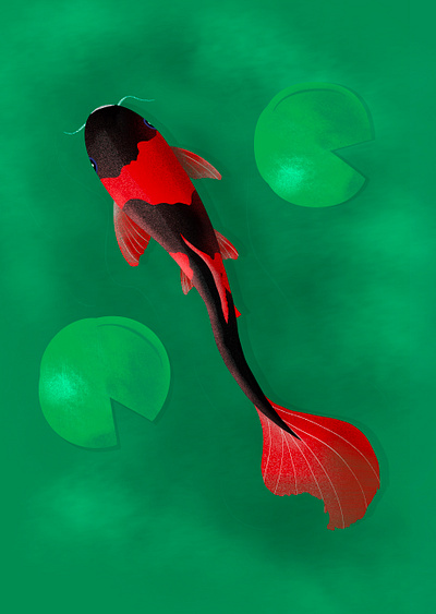 Fish graphic design illustration procreate