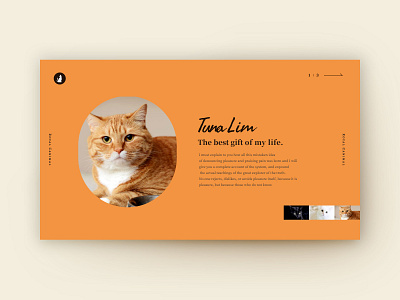 Daily UI #39 Testimonials cat daily ui layoutdesign minimal testimonials webdesign website