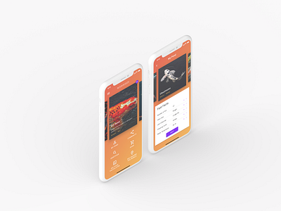 Nishikigoi 2 app design material design ui