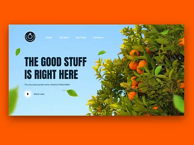 Orange Web UI animation animations fruit hover effect interaction design interactive landingpage microinteraction motion design orange parallax parallax scrolling prototype ui uidesign uiux ux uxdesign web web design