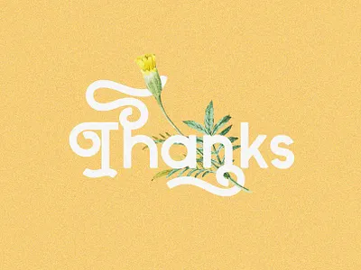 Bilage Font display font download font download typeface elegant font font font design fonts lettering logo font logo fonts logodesign playful font retro font swashes typeface typefaces typography vintage design vintage font vintage lettering