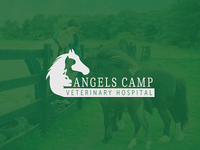 Angels Camp Veterinary Hospital branding creative design flat icon illustration logo professional ui ux vector website