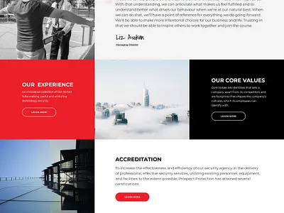 Prospect Security Website Design - Malaysia animation branding creative design flat illustration illustrator secure security typography ui uiux