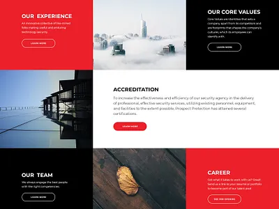 Prospect Security Website Design - V1 - Malaysia animation branding creative design flat illustration illustrator minimal typography ui uiux
