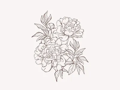 Vector sketch peony flowers bouquet bouquet flowers peony sketch