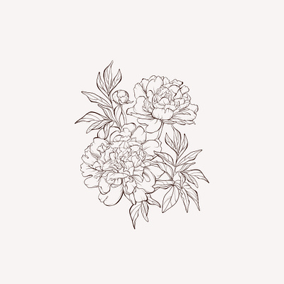 Vector sketch peony flowers bouquet bouquet flowers peony sketch