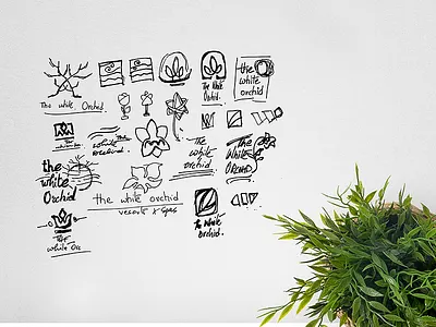 Concept Sketches | logo behindthescene branding exploration graphic identity india logo pencil shape sketch typography wip