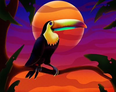 Toucan animals art artist artwork brush childrens book colors digitalart illustraion procreate