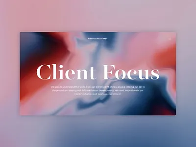 Niederer Kraft Frey color digital elegance gradient lawfirm minimal typogaphy user experience