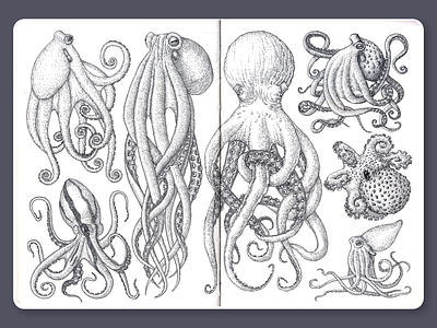 Octopus • Sketchbook blackandwhite dotwork drawing illustration ink lineart moleskine octopus sketchbook