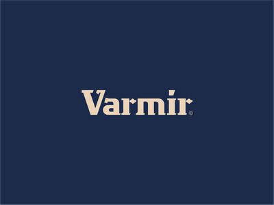 Varmir branding design logo old serif studio text logo type typography vector