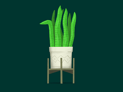 Snake Plant green illustration illustrator plant plant illustration plants procreate procreate app procreate illustration snake plant