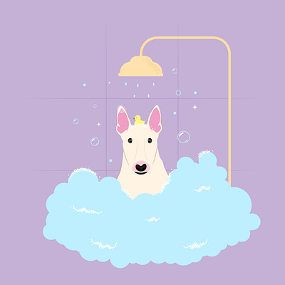 Character and Instagram carousel for a dog grooming salon bull terrier graphic design