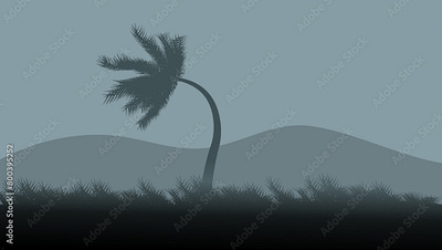 palm tree in hurricane