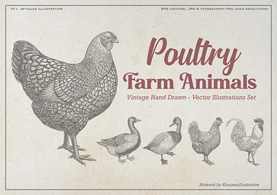 Poultry Farm Animal Vintage Illustration agricultural design branding chicken illustration engraving illustration farm animal illustration farm branding farm project design hand drawn illustration key visual line art illustration poultry animal retro animal art retro illustration rooster illustration rustic animal illustration vector design vintage design vintage illustration vintage logo vintage style animal