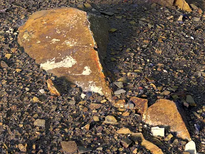 First step to Clarisse iFX clarisseifx environment isotropix nature photorealistic surface