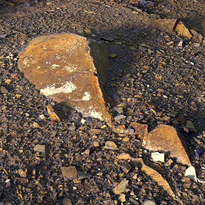 First step to Clarisse iFX clarisseifx environment isotropix nature photorealistic surface