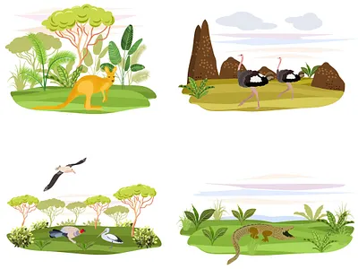 Australian animals africa animals australia birds cards design illustration vector