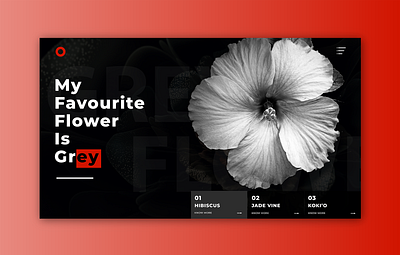 Fleur Grise dark ui darkmode deep design florist flower french grey grise hibiscus ui uidesign userinterface webdesign weirdart weirdui