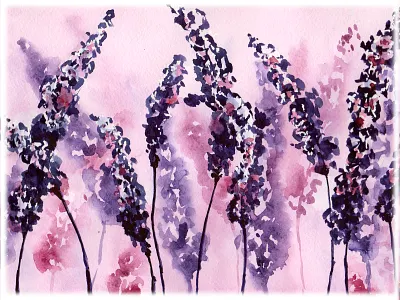 Lavender. Watercolor set. акварель дизайн иллюстрация клипарт лаванда набор поле принт фон цветы шаблон