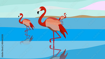 Flock of flamingos