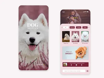 Dog species app ui uiux ux dog animal