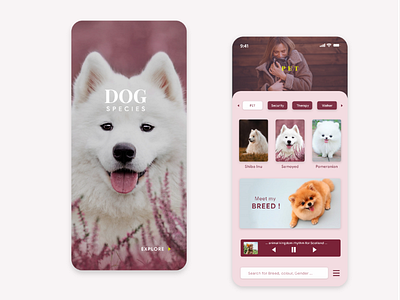 Dog species app ui uiux ux dog animal