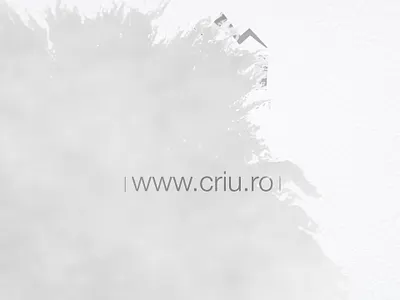 site and logo criu branding ink transition logo logo animation site