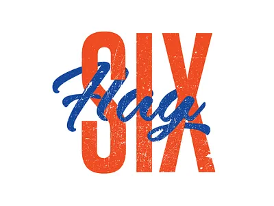 SiX FLAG TYPOGRAPHY DESIGN adobe animation branding design illustration illustrator product typography vector website