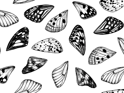 butterfly wings pattern artwork black white butterfly dotwork graphic illustration ink linework motley ornament pattern texture wings