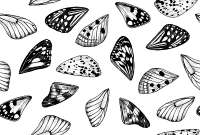 butterfly wings pattern artwork black white butterfly dotwork graphic illustration ink linework motley ornament pattern texture wings
