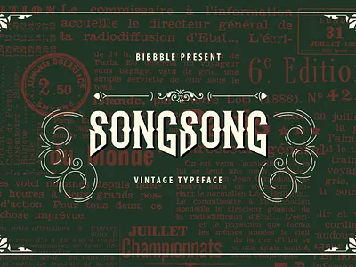 SongSong branding design font font awesome font design fonts illustration typography vector