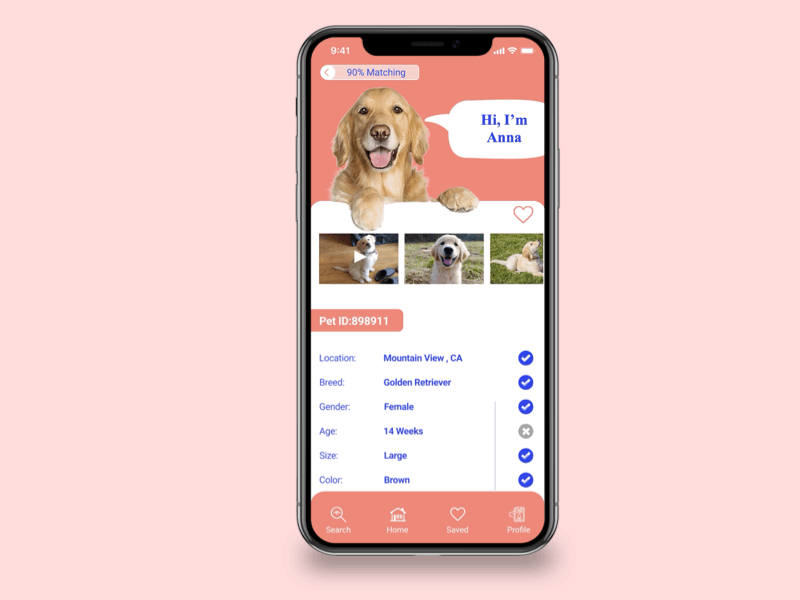 Animal Rescue App adoption animal animation app branding design pets rescue ui ux visual