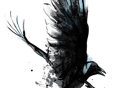 raven animal bird black editorial fashion illustration ink raven watercolor watercolor art