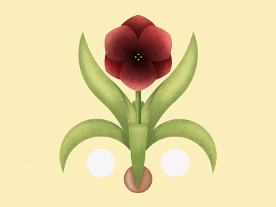 Giglio | My porch plants series design draw flower flower illustration geometic giglio green illustration illustrator minimal nature photoshop plants vector