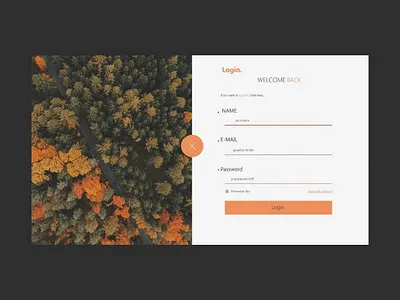 Log in design illustration log in typography ui uiux ux web website